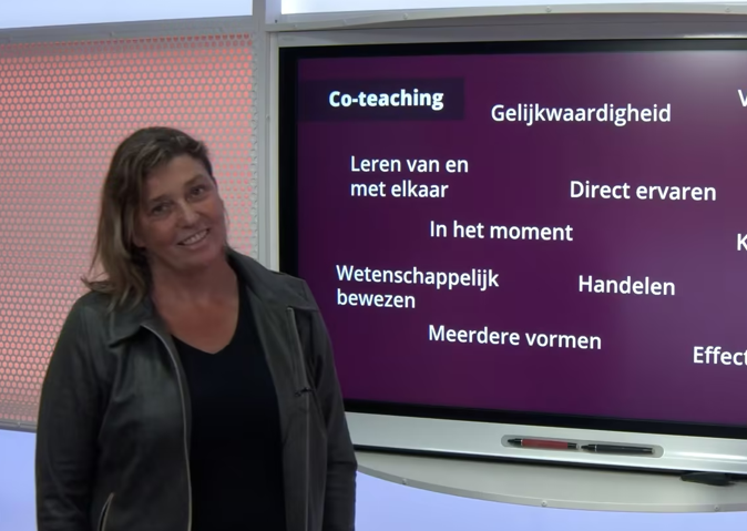 Co-Teaching Training Woordweb